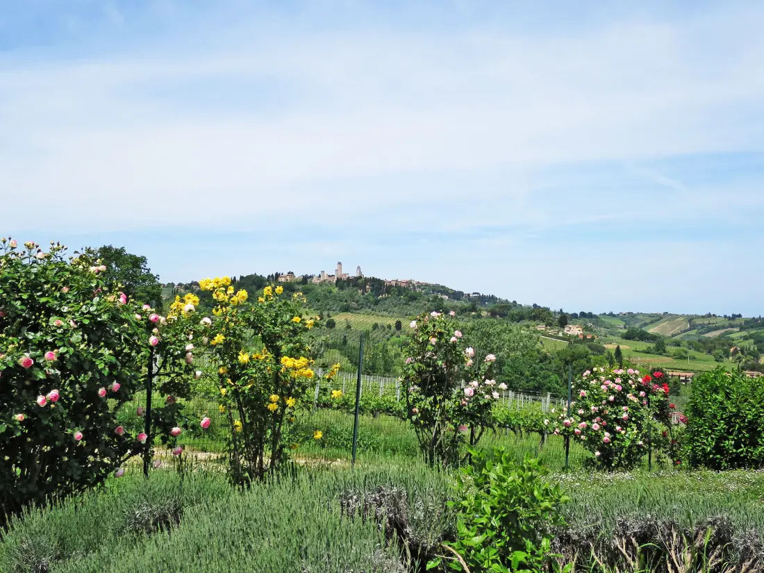 Maison de Vacances San Gimignano