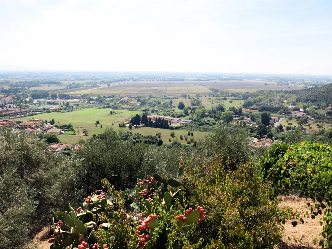 Maison de Vacances San Giuliano Terme