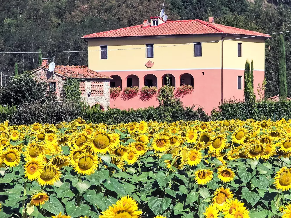 Maison de Vacances San Giustino Valdarno