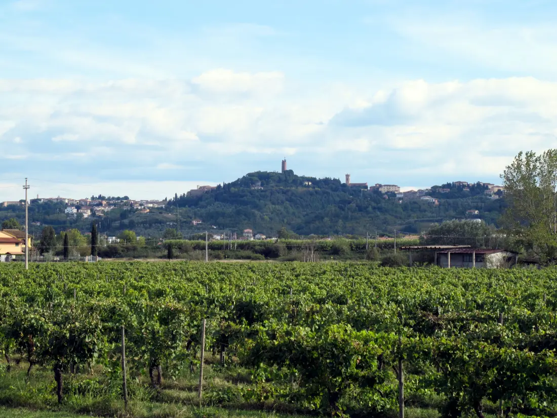 Maison de Vacances San Miniato