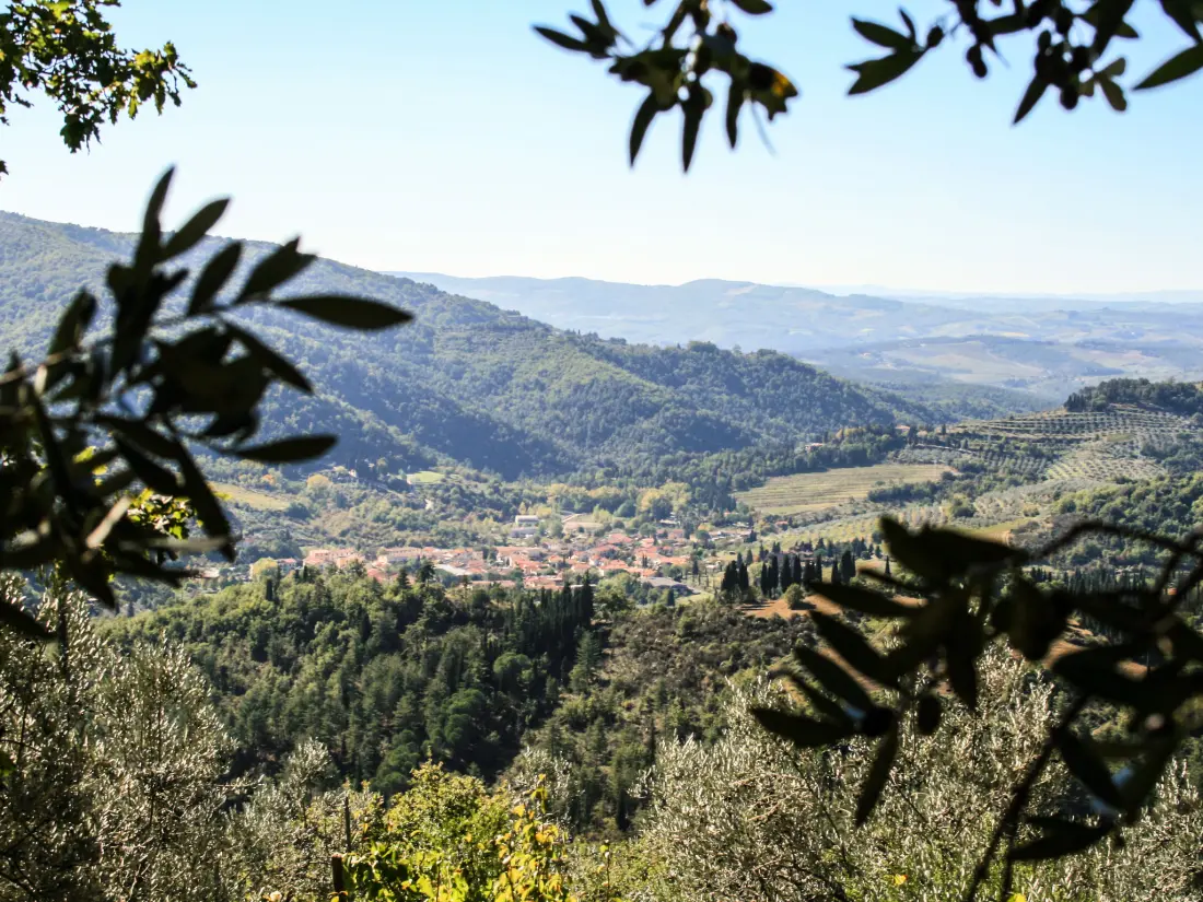 Résidence Rustico