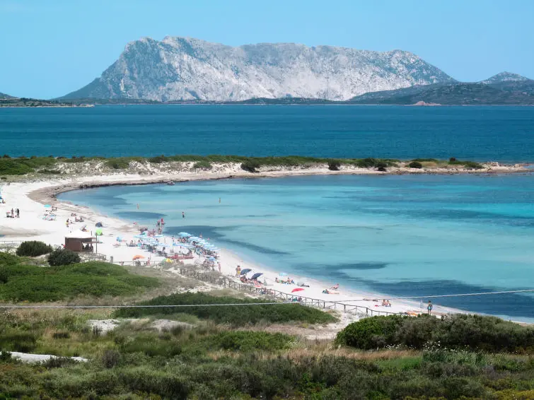 Maison de Vacances San Teodoro