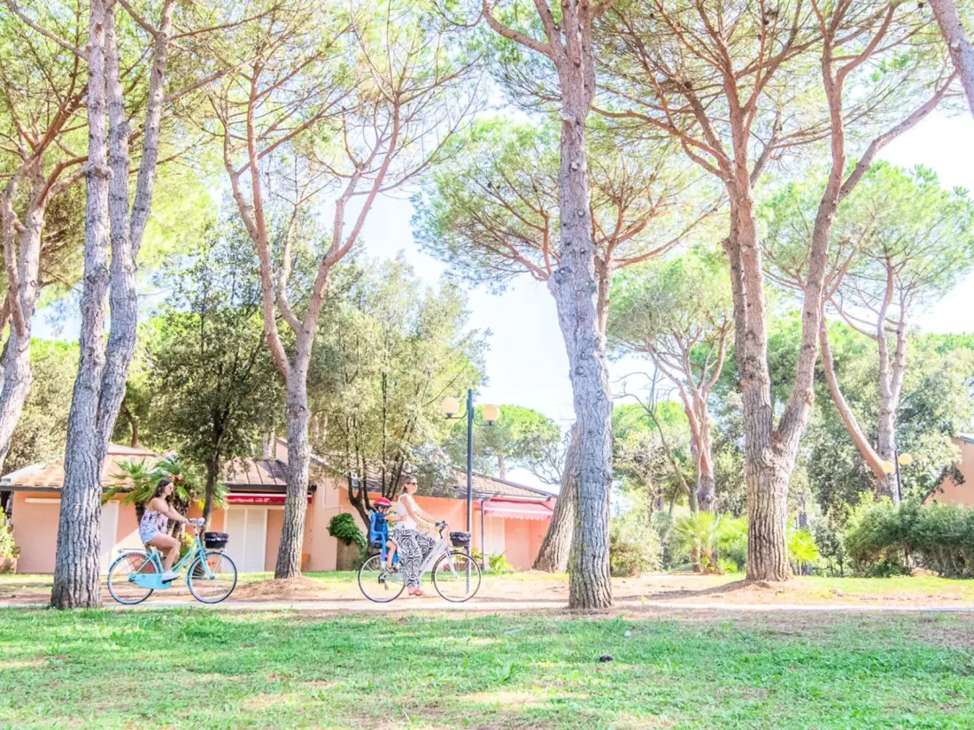 Maison de Vacances San Vincenzo
