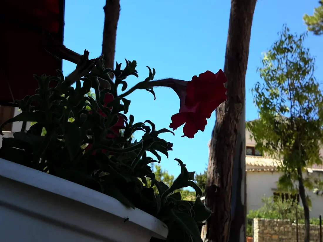 Résidence 'Villa sul porto