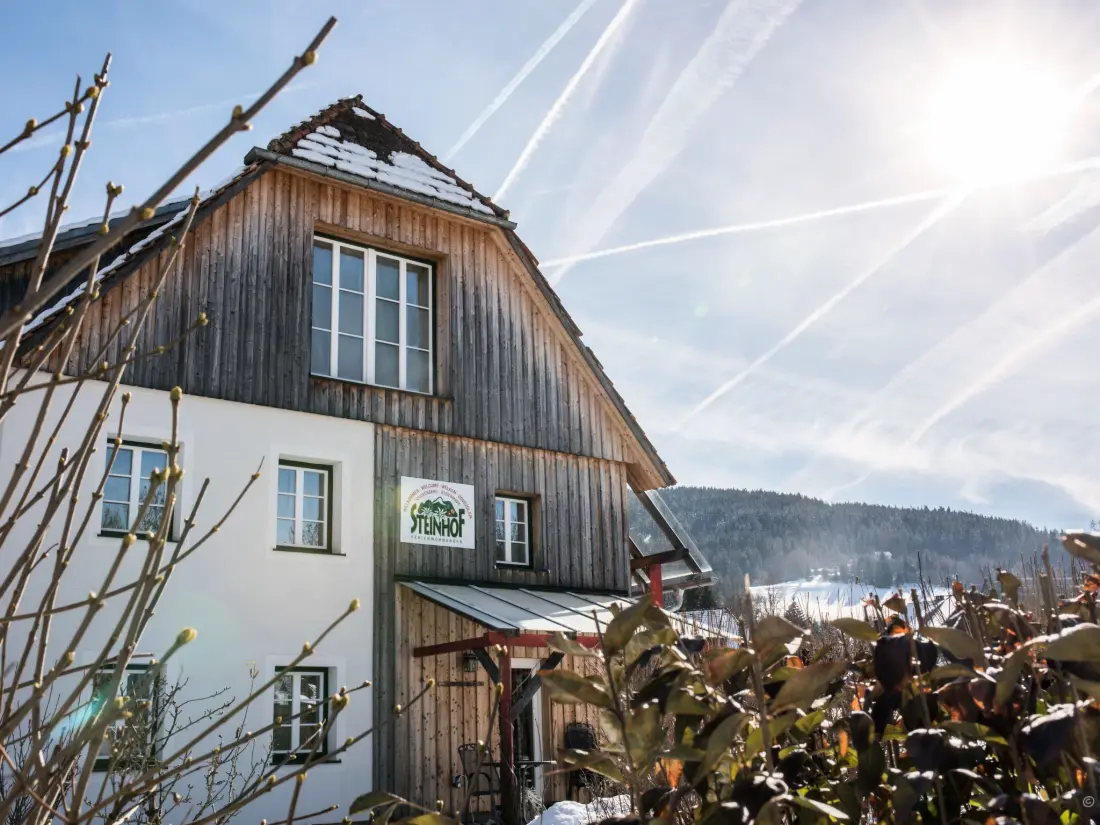 Maison de Vacances Sankt Georgen ob Murau