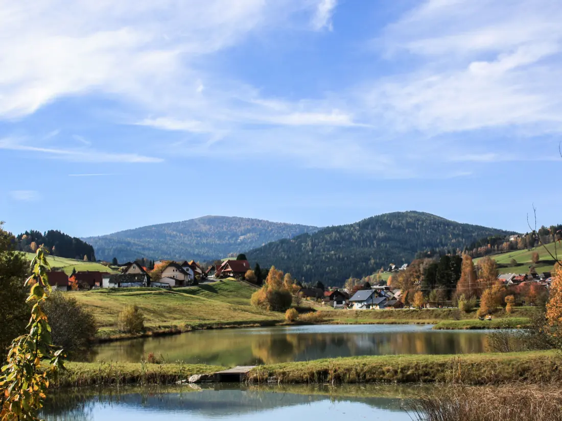 Maison de Vacances Sankt Lambrecht