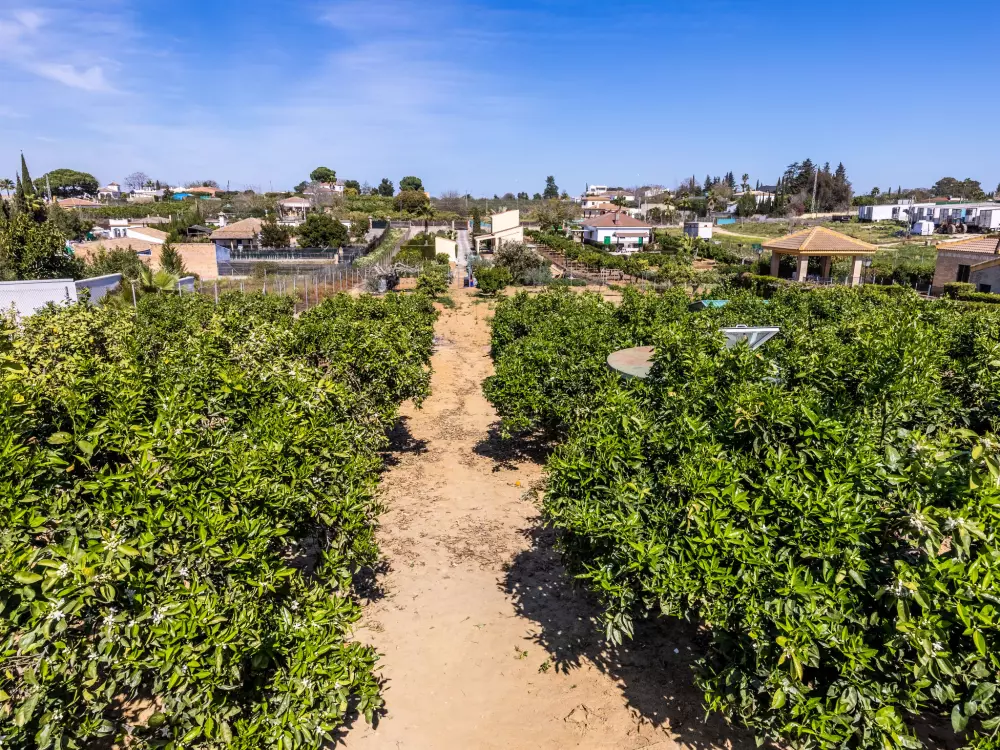 Maison de Vacances Sevilla/SanlÃºcar la Mayor