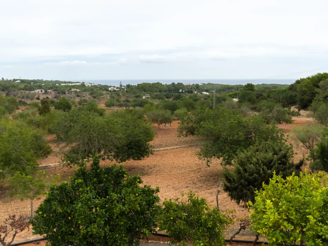 Maison de Vacances Sant Carles Peralta