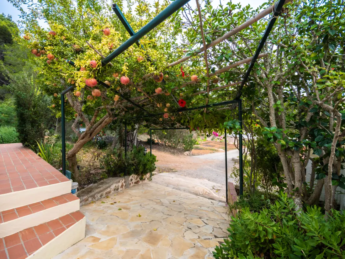 Maison de Vacances Sant Carles Peralta