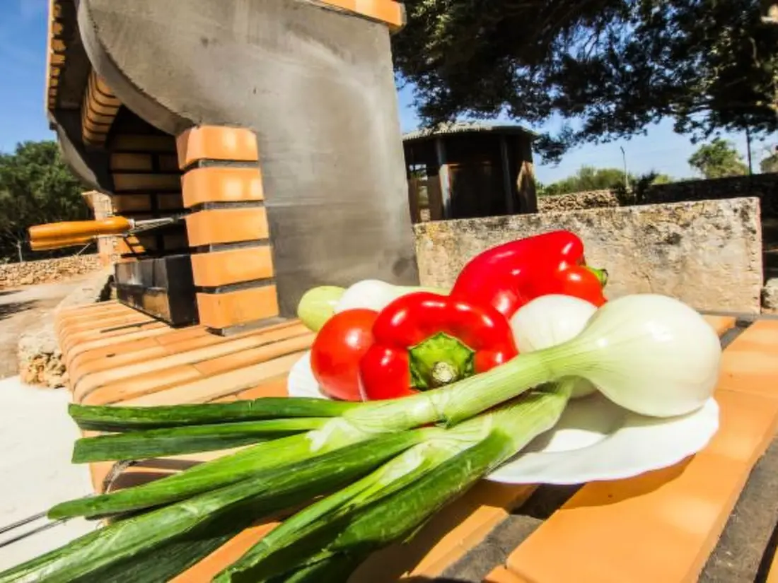 Maison de Vacances Sant Llorenç