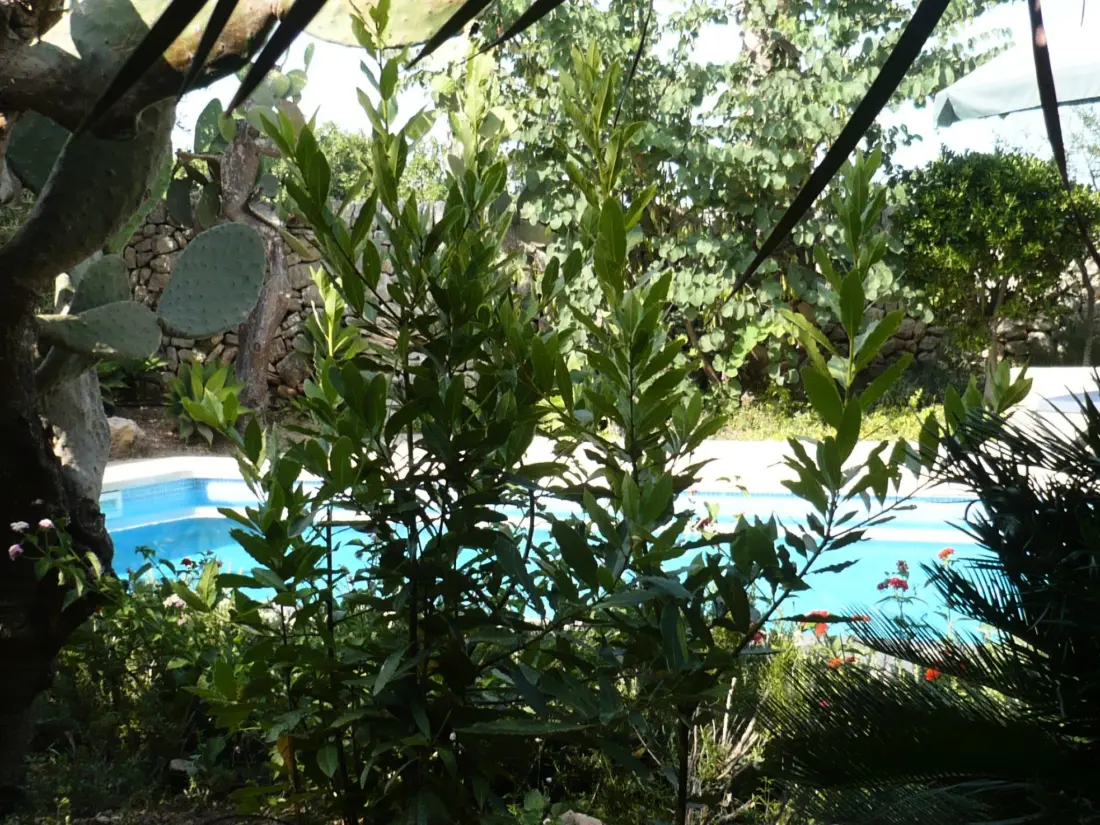 Maison de Vacances Sant Llorenç