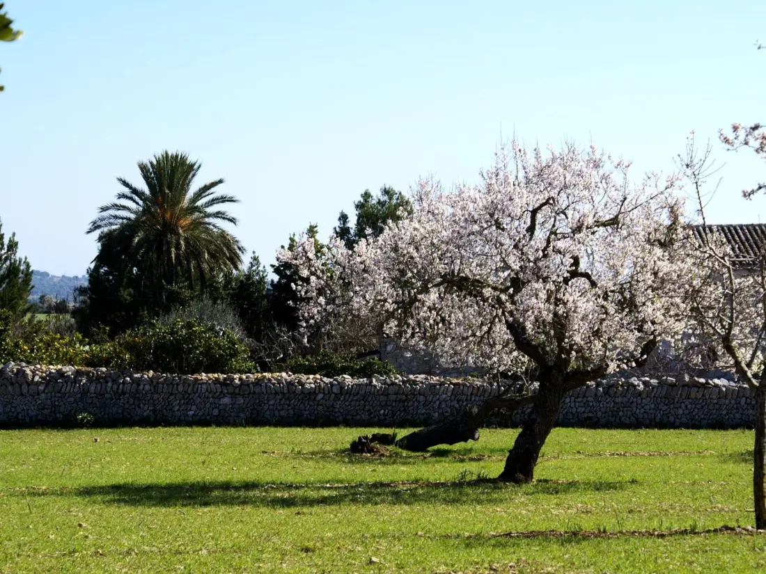 Maison de Vacances Sant Llorenç