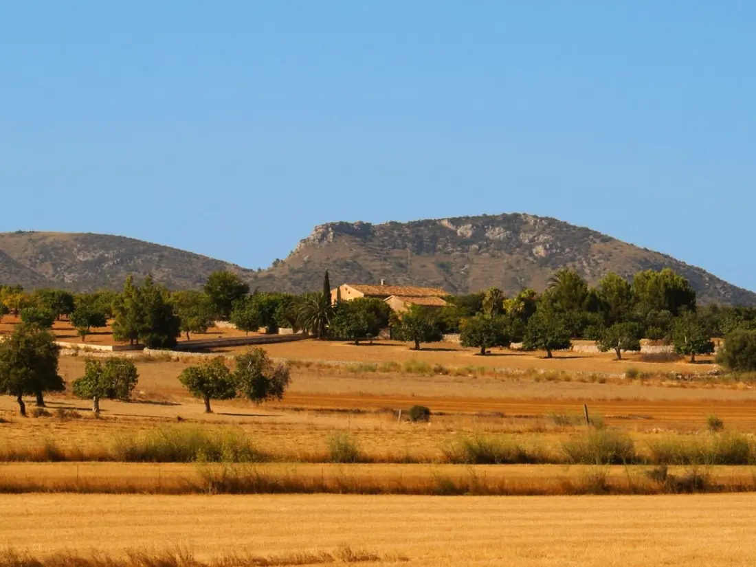 Maison de Vacances Sant Llorenç