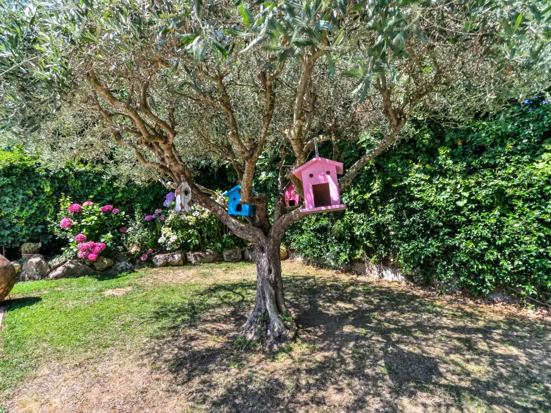 Maison de Vacances Sta Cristina d'Aro
