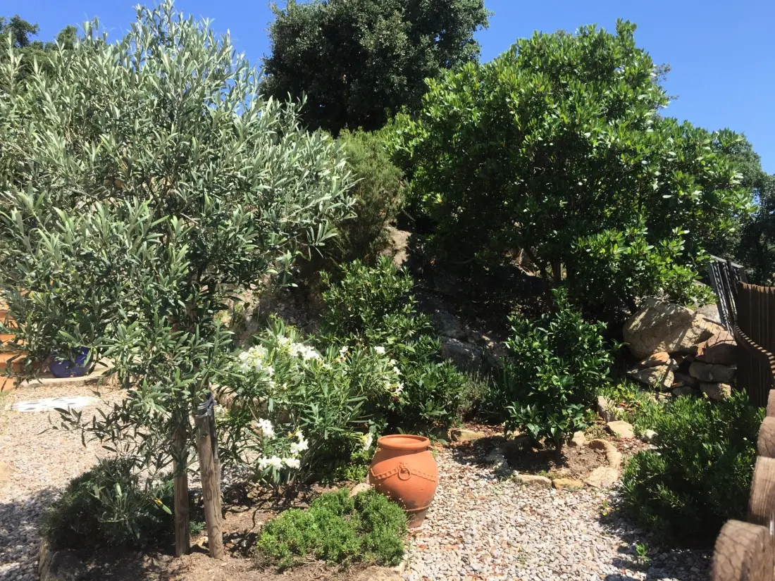 Maison de Vacances Sta Cristina d'Aro