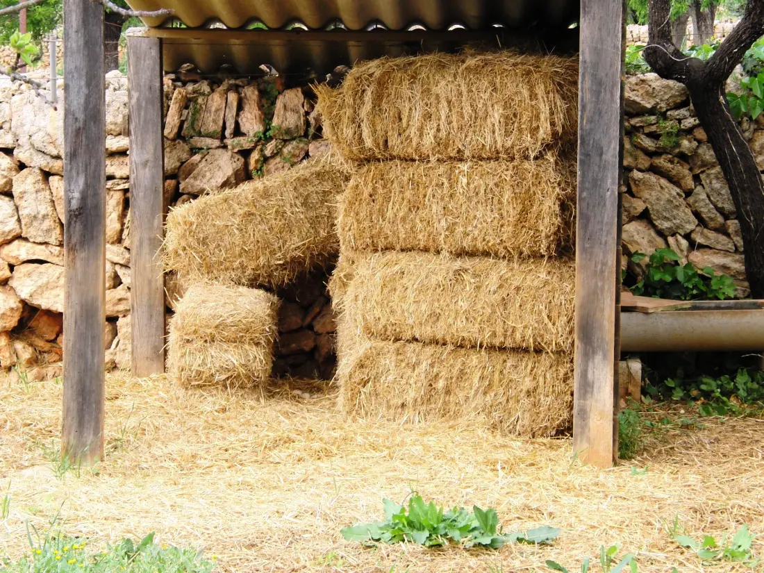 Maison de Vacances Santa Margalida