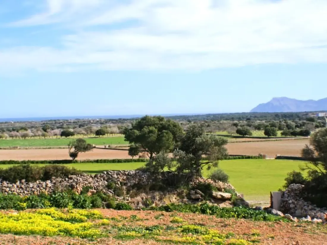 Maison de Vacances Santa Margalida