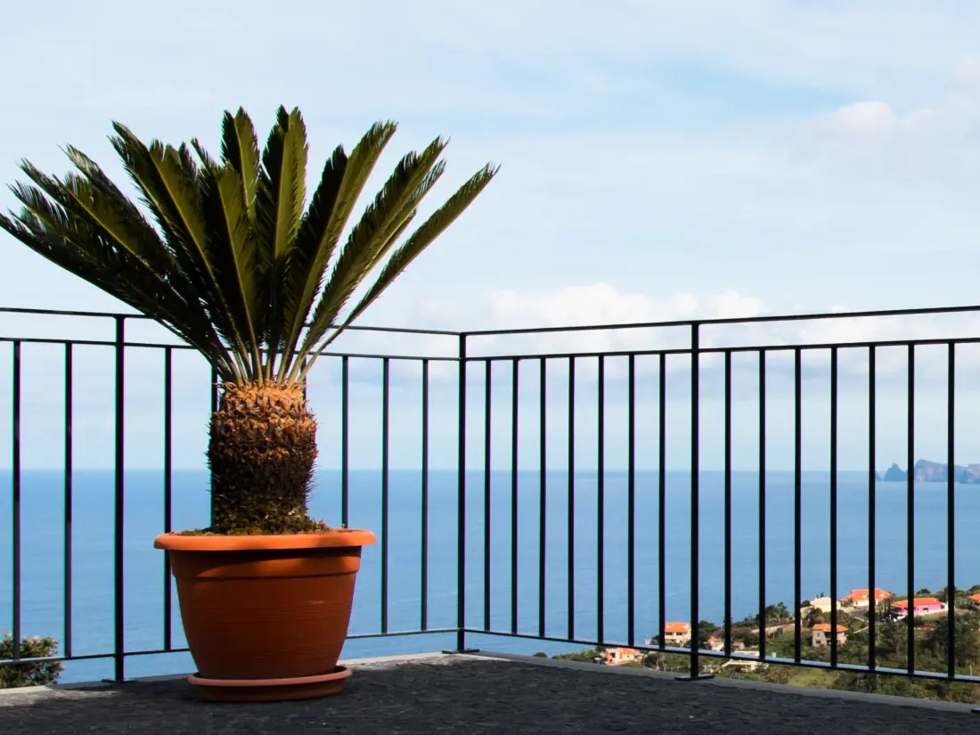 Maison de Vacances Madeira/Santana