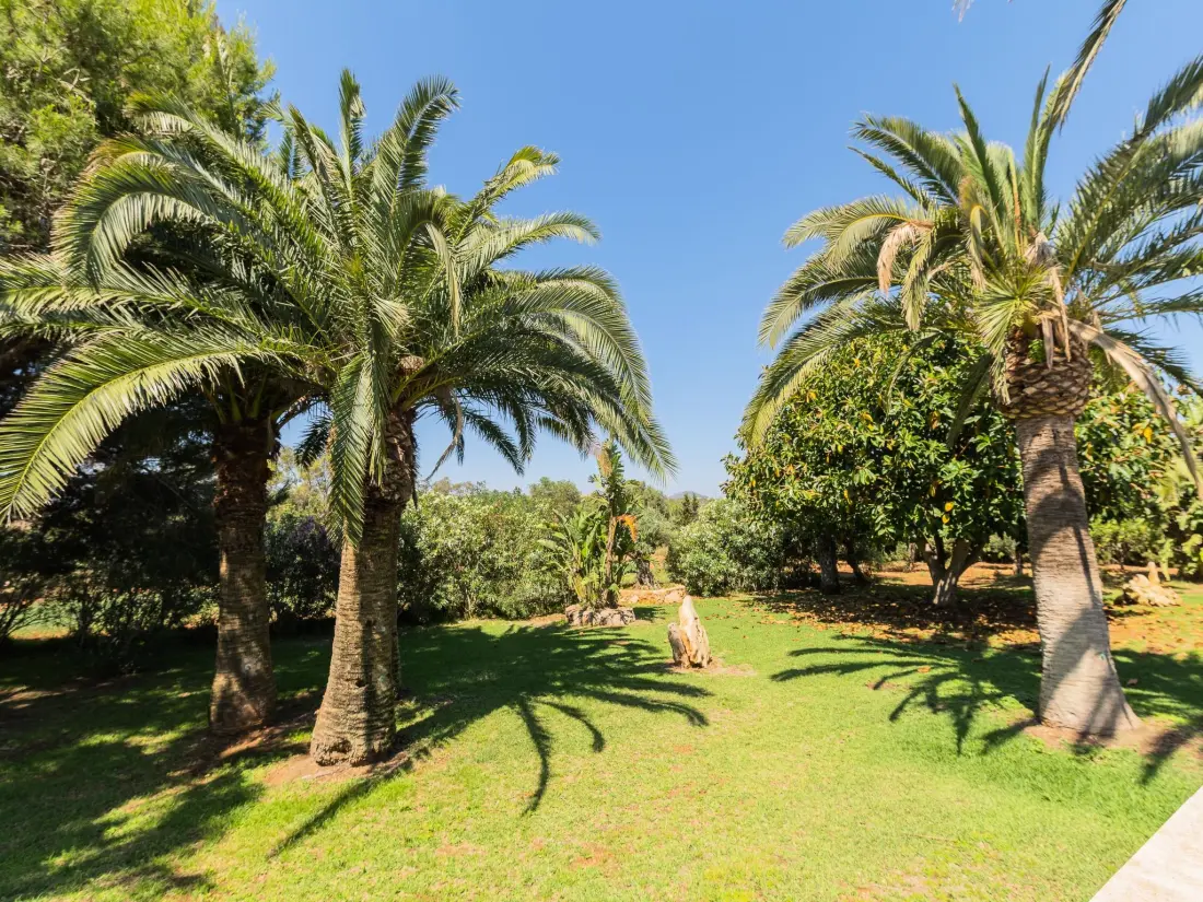 Maison de Vacances Santanyí