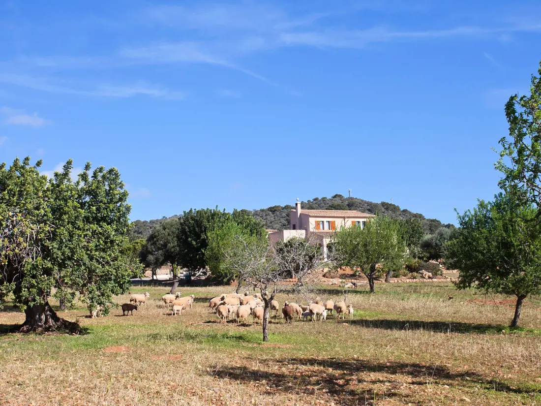 Maison de Vacances Santanyí