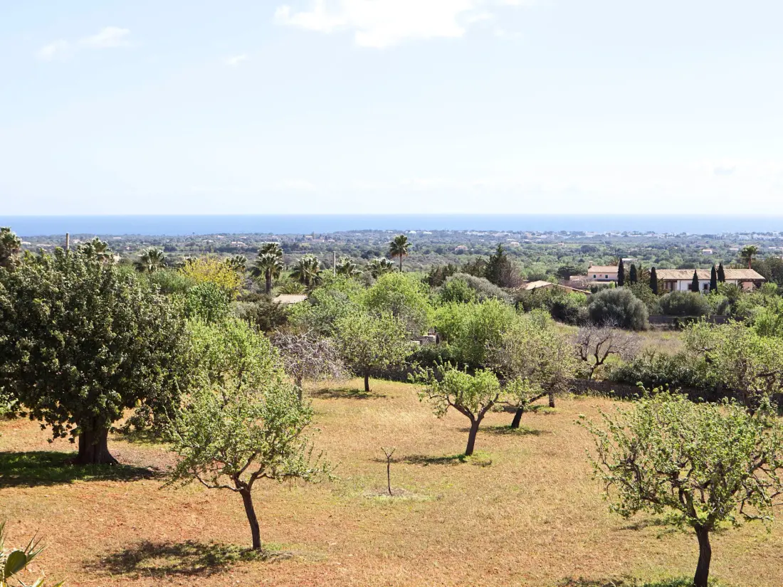 Maison de Vacances Santanyí