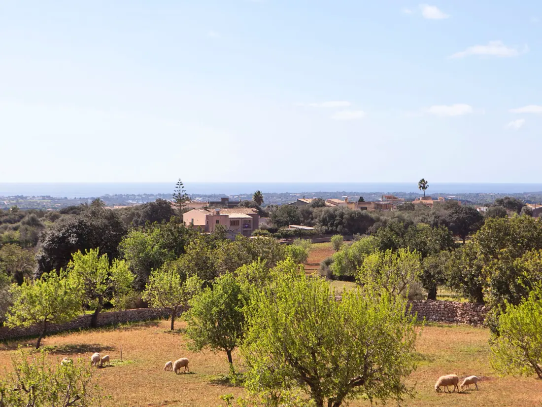 Maison de Vacances Santanyí
