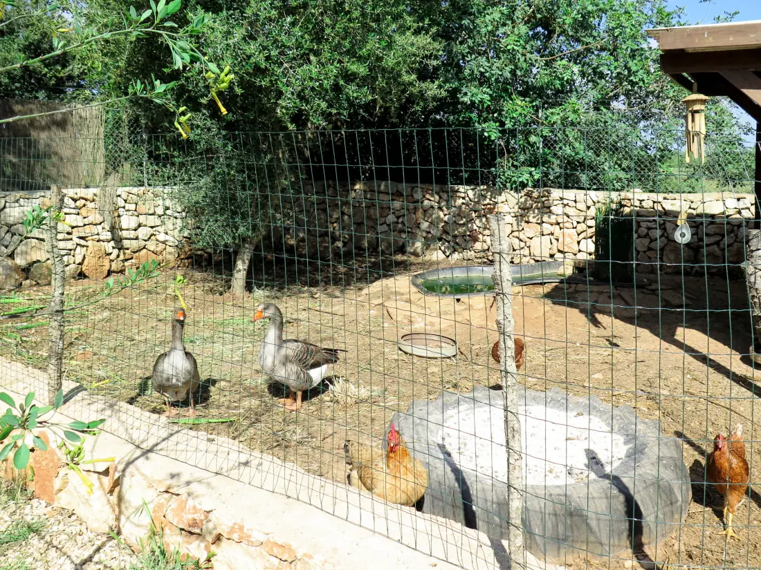 Maison de Vacances Santanyí