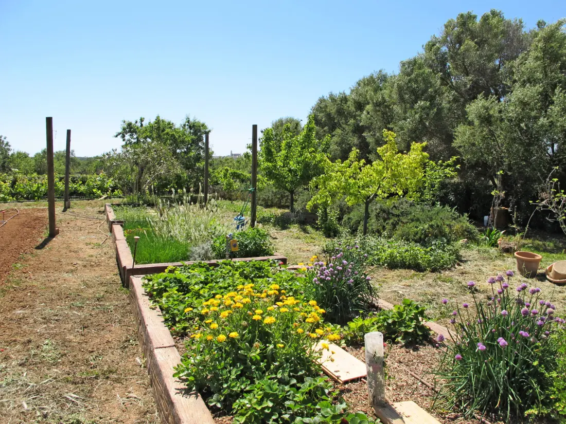 Maison de Vacances Santanyí