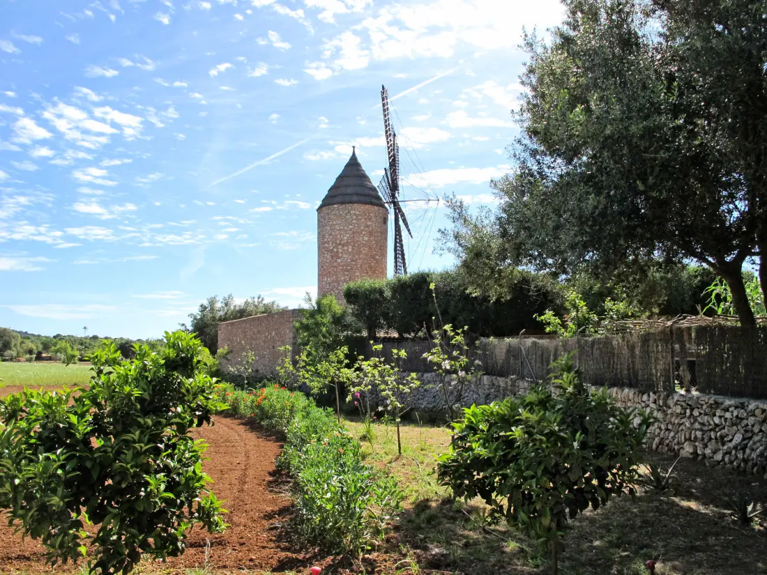 Maison de Vacances Santanyí