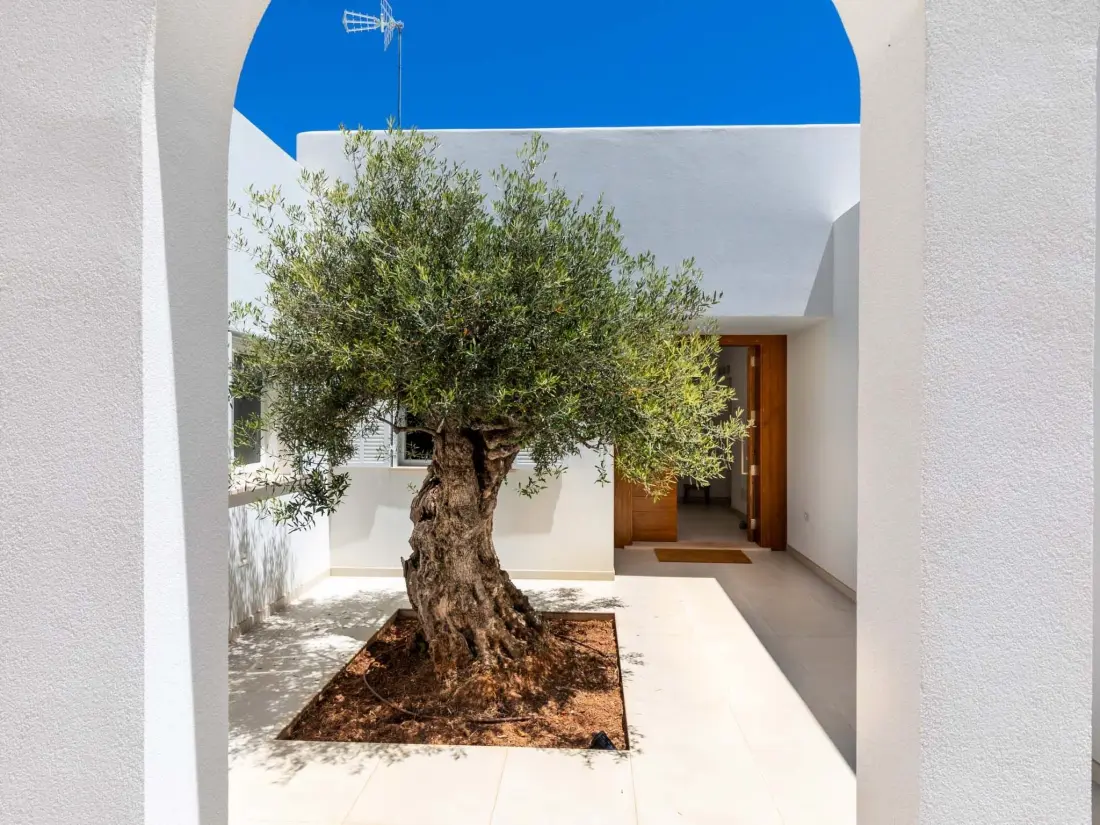Maison de Vacances Santanyí