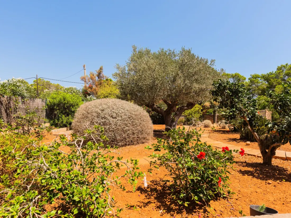 Maison de Vacances Santanyí
