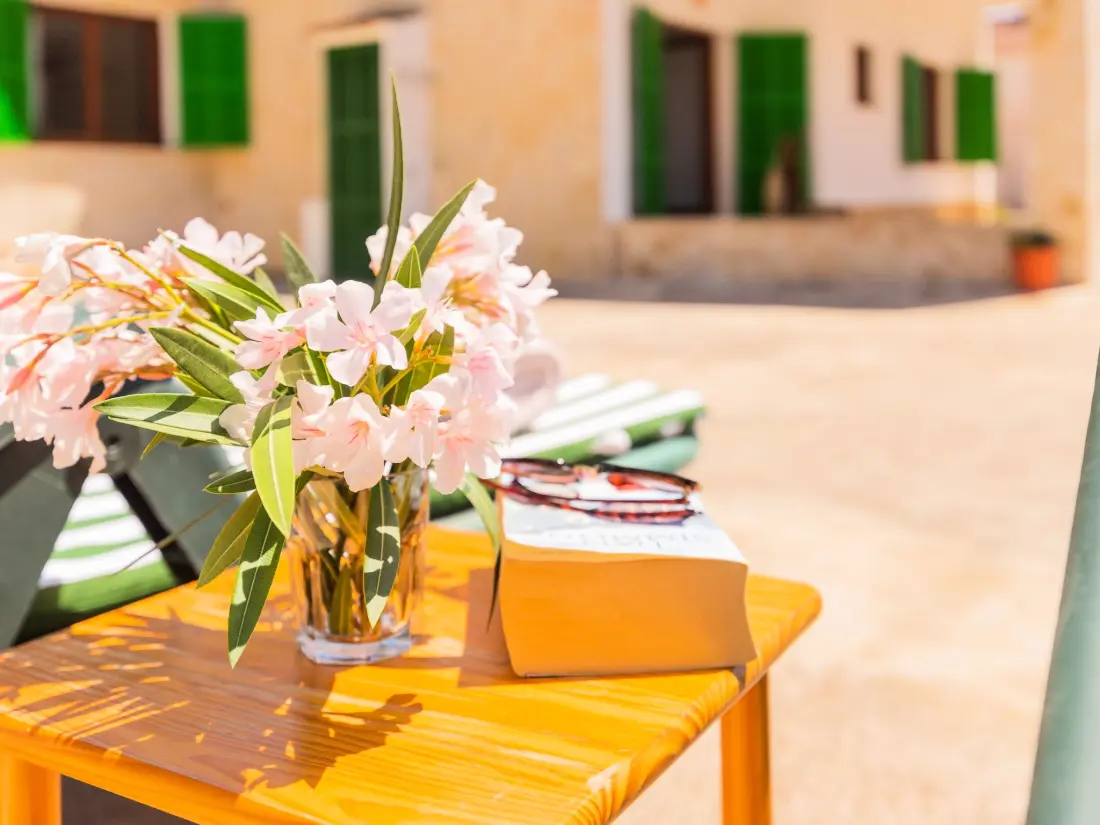 Maison de Vacances Santanyí