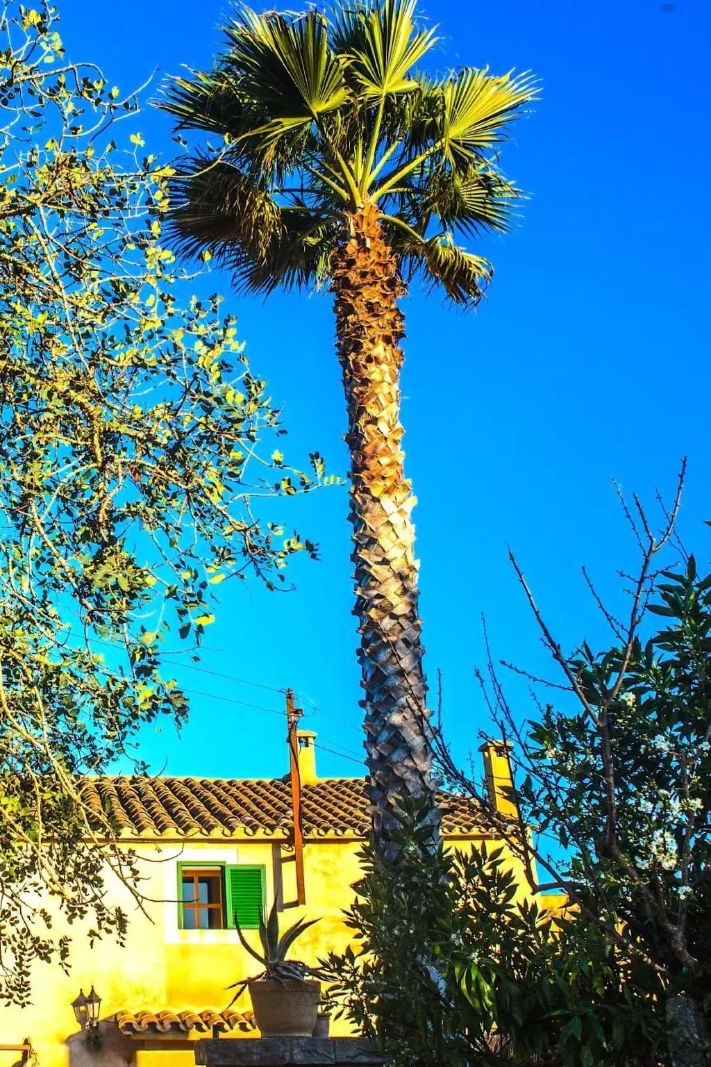 Maison de Vacances Santanyí