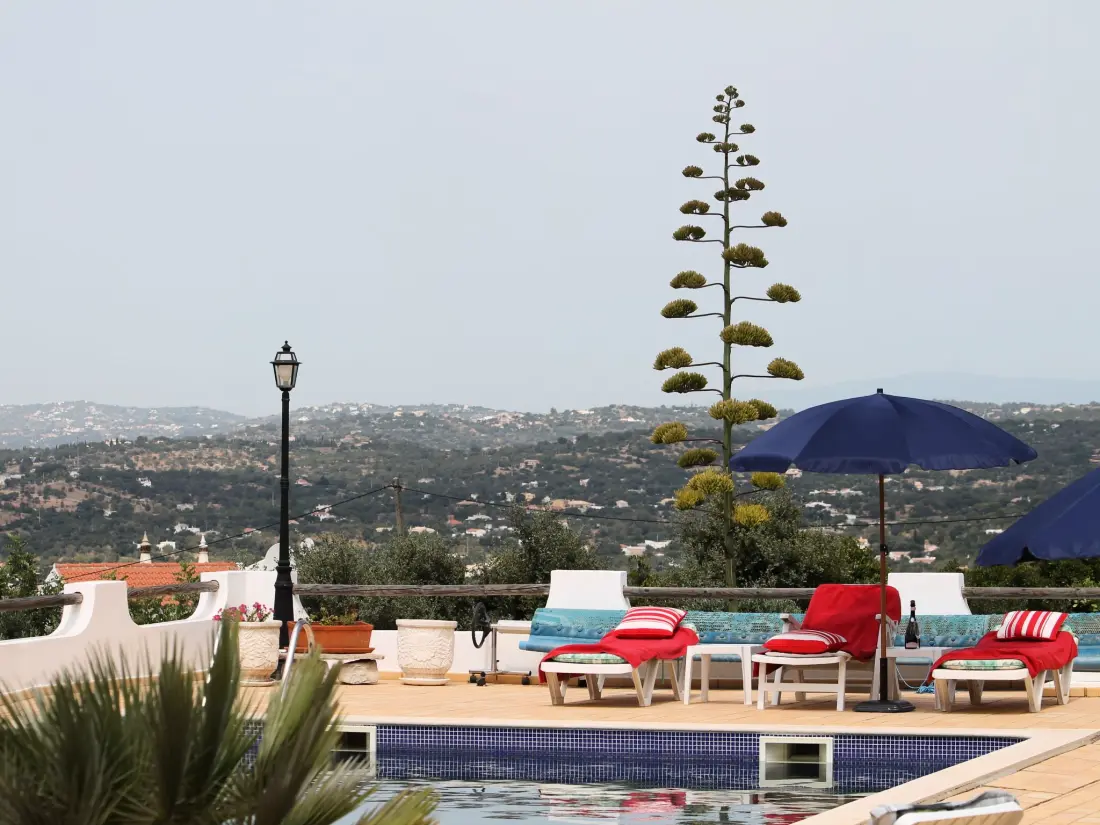 Maison de Vacances São Brás de Alportel