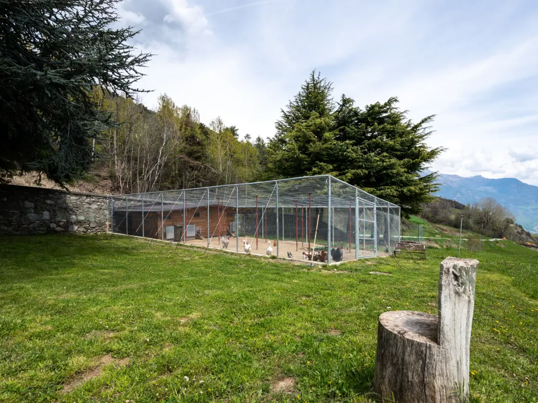 Résidence Chalet Remondet