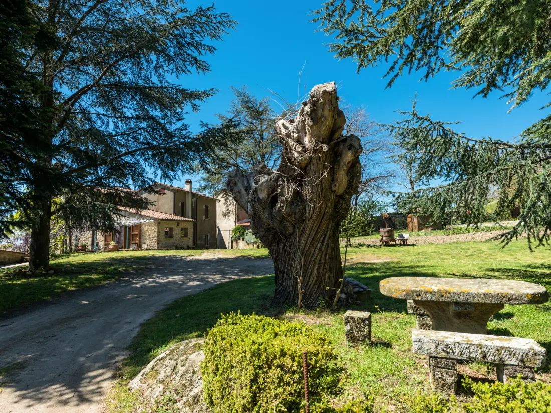 Maison de Vacances Sassofortino
