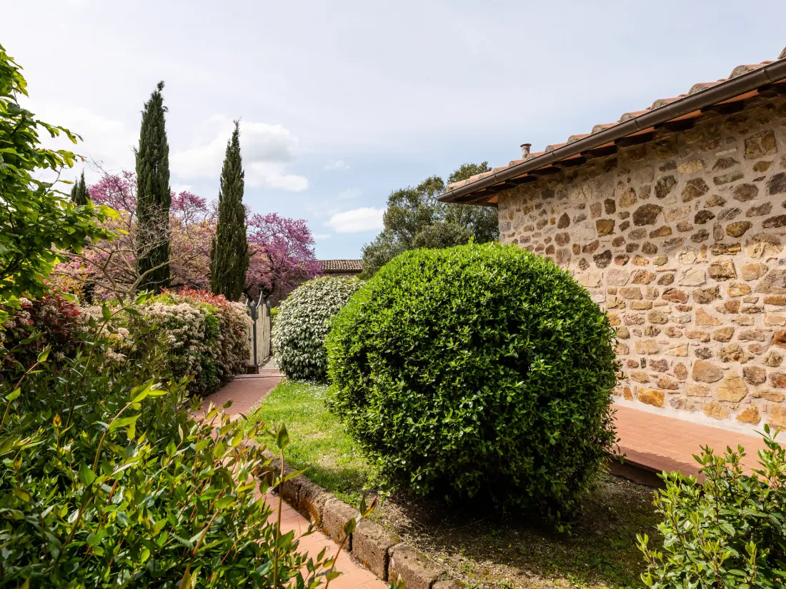 Maison de Vacances Saturnia