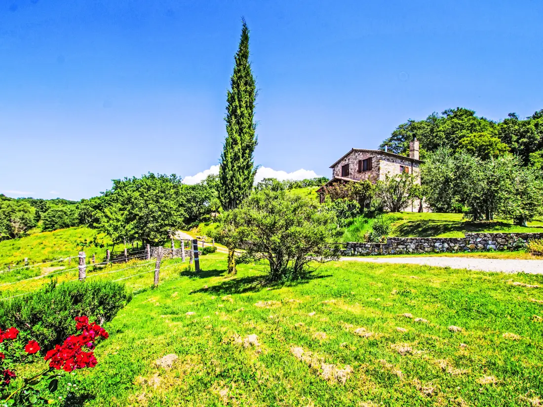Maison de Vacances Scansano