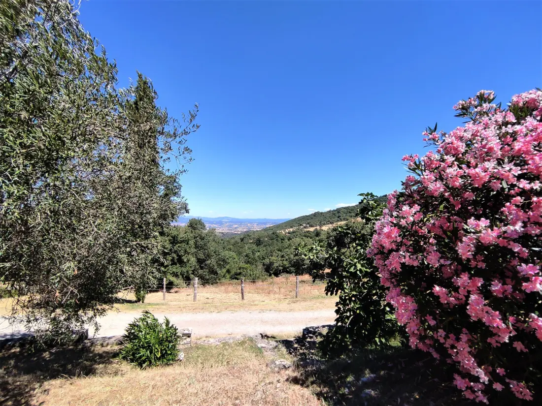 Maison de Vacances Scansano