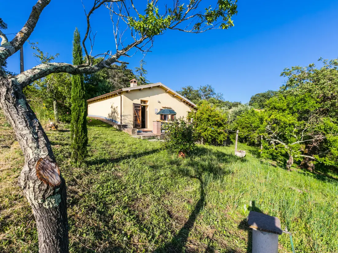Maison de Vacances Scansano