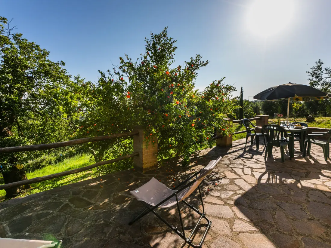 Maison de Vacances Scansano