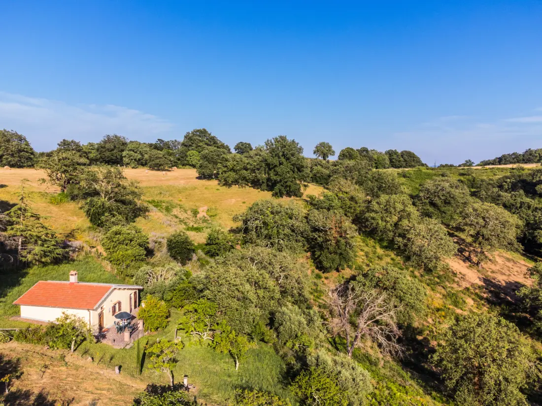 Maison de Vacances Scansano