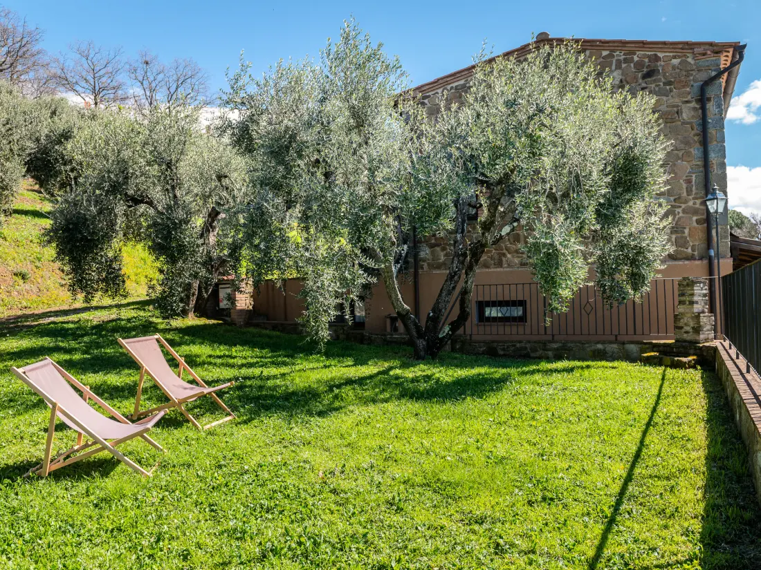 Maison de Vacances Scansano