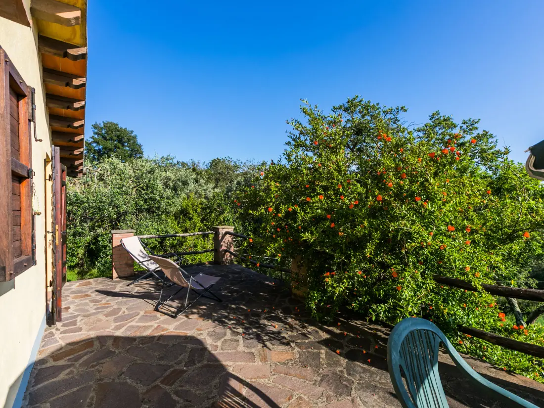 Maison de Vacances Scansano