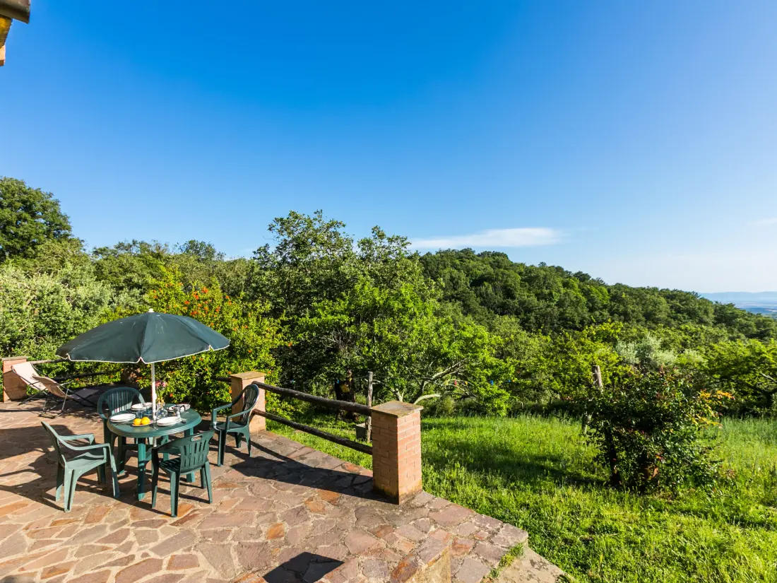 Maison de Vacances Scansano