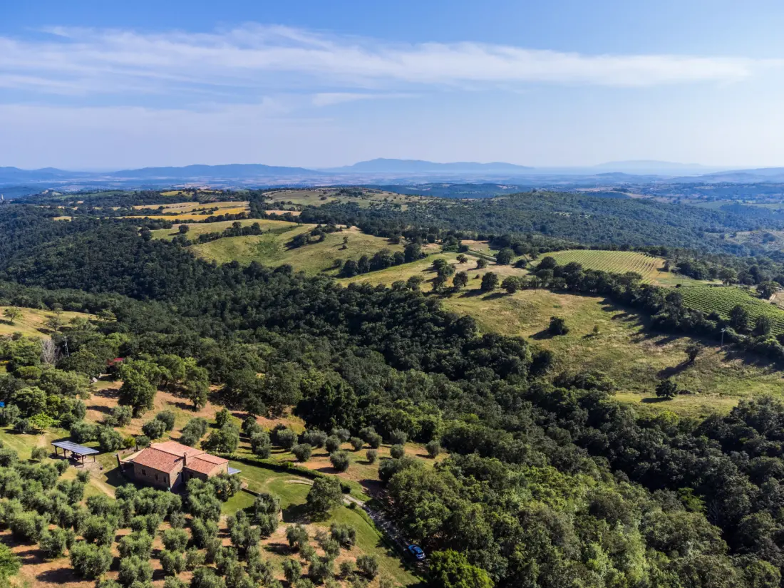 Maison de Vacances Scansano