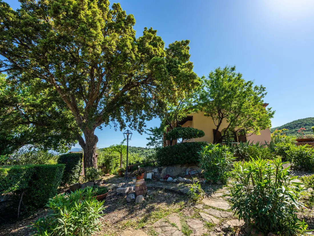 Maison de Vacances Scarlino