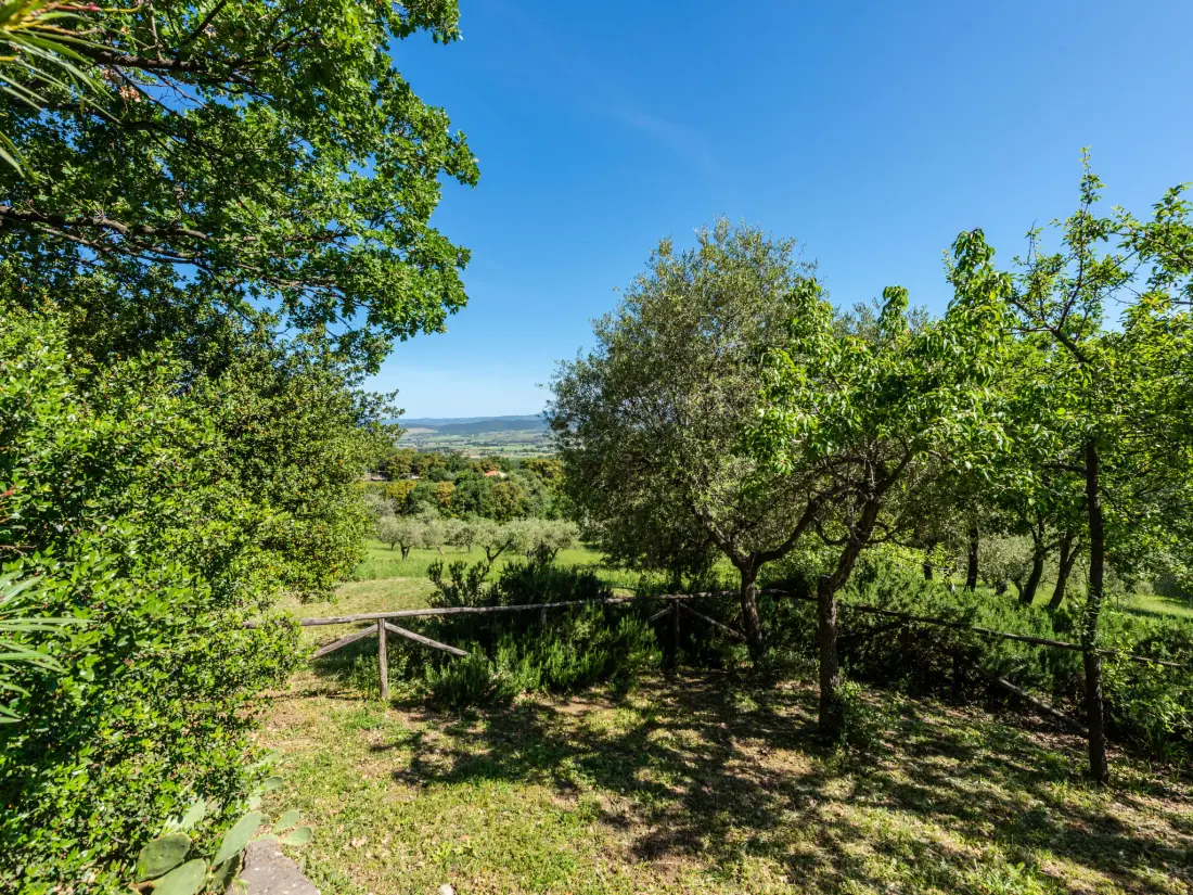 Maison de Vacances Scarlino