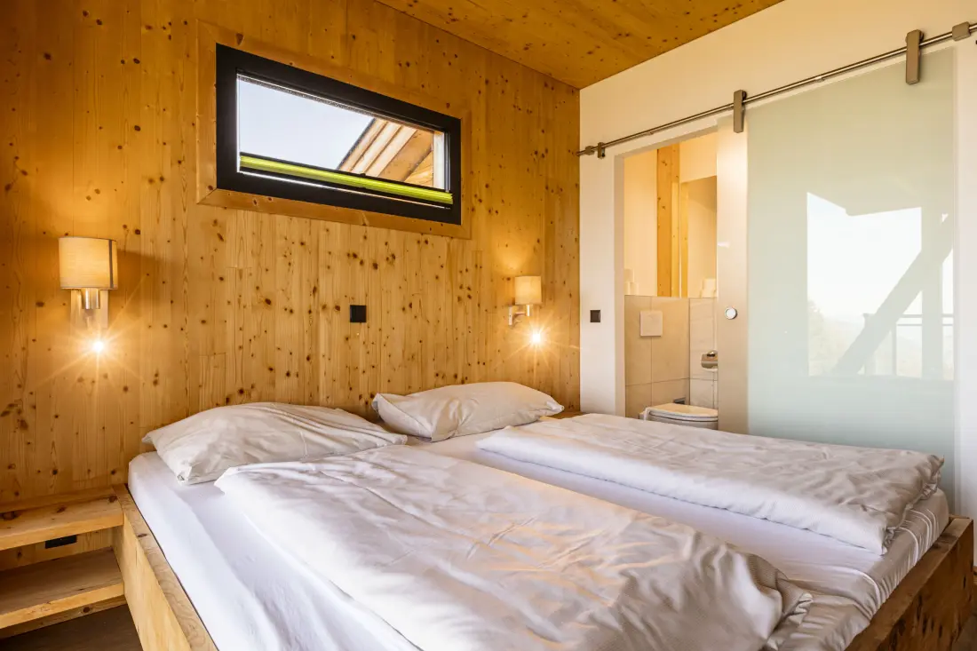 Chalets à Schladming