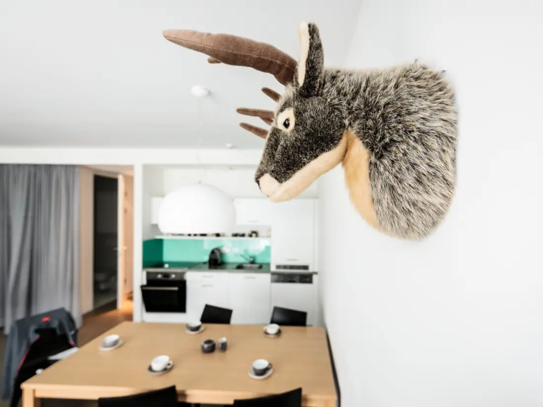 Résidence mit 1 Schlafzimmer & Saunabereich